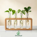 Orivaritual™ HydroRoot Glass Propagation Station