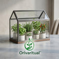 Orivaritual™ Glass Haven Indoor Greenhouse Terrarium